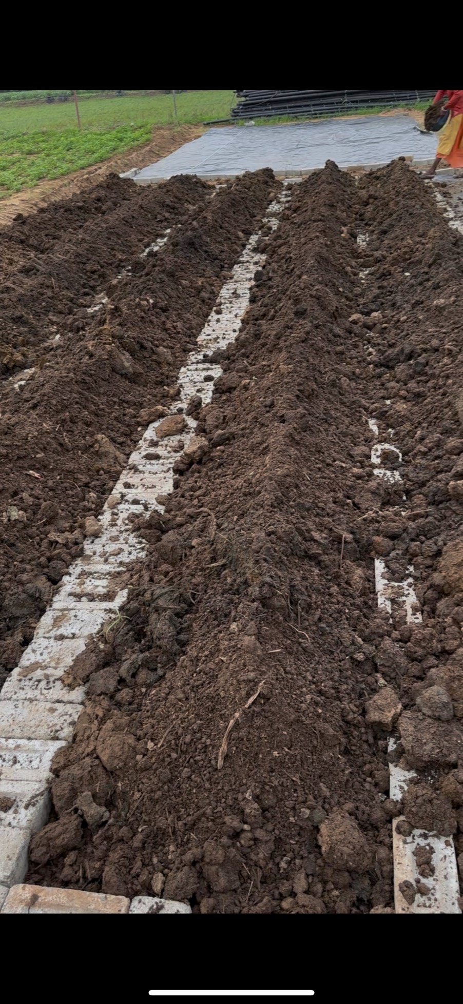 Step 3: Add well-decomposed cow dung layer